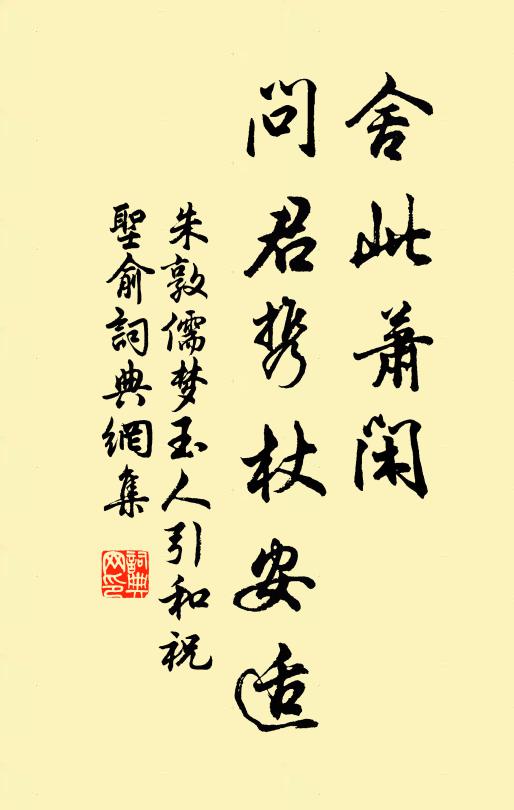 朱敦儒舍此萧闲，问君携杖安适书法作品欣赏