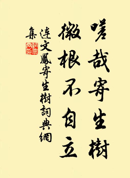 连文凤嗟哉寄生树，微根不自立书法作品欣赏