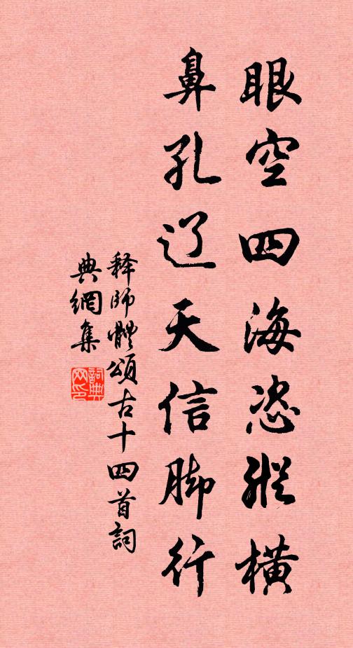 释师体眼空四海恣纵横，鼻孔辽天信脚行书法作品欣赏