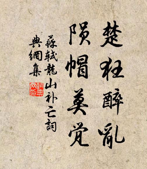 苏轼楚狂醉乱，陨帽莫觉书法作品欣赏