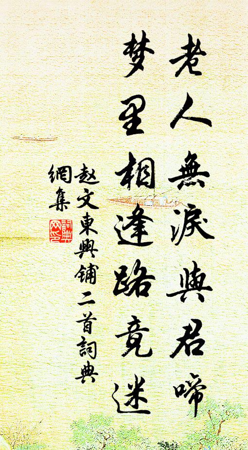 赵文老人无泪与君啼，梦里相逢路竟迷书法作品欣赏