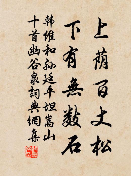 韩维上荫百丈松，下有无数石书法作品欣赏