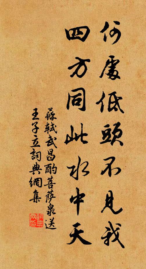 苏轼何处低头不见我，四方同此水中天书法作品欣赏