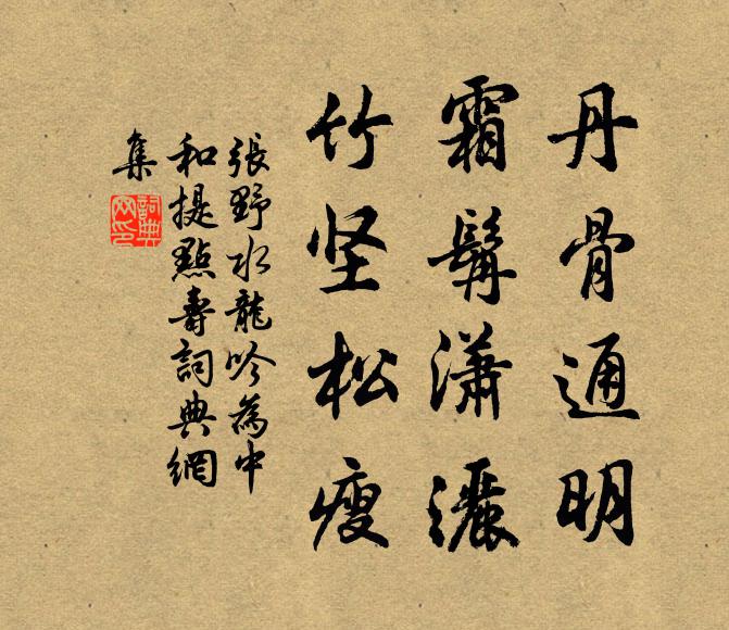 张野丹骨通明，霜髯潇洒，竹坚松瘦书法作品欣赏