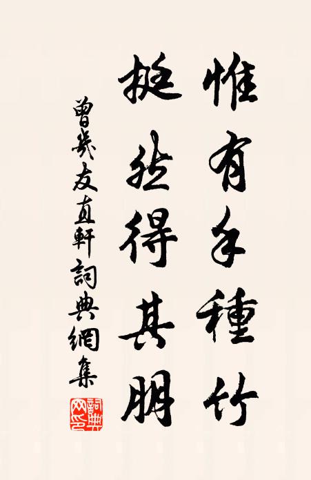 曾几惟有手种竹，挺然得其朋书法作品欣赏