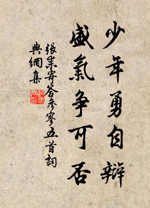张耒少年勇自辩，盛气争可否书法作品欣赏