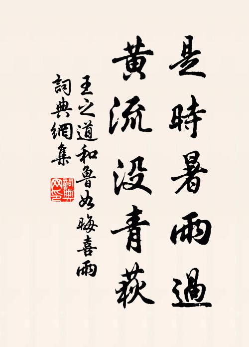 王之道是时暑雨过，黄流没青荻书法作品欣赏