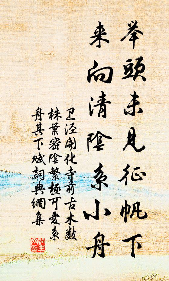 卫泾举头未见征帆下，来向清阴系小舟书法作品欣赏