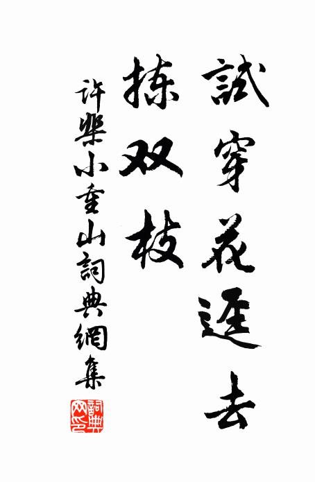许棐试穿花迳去，拣双枝书法作品欣赏