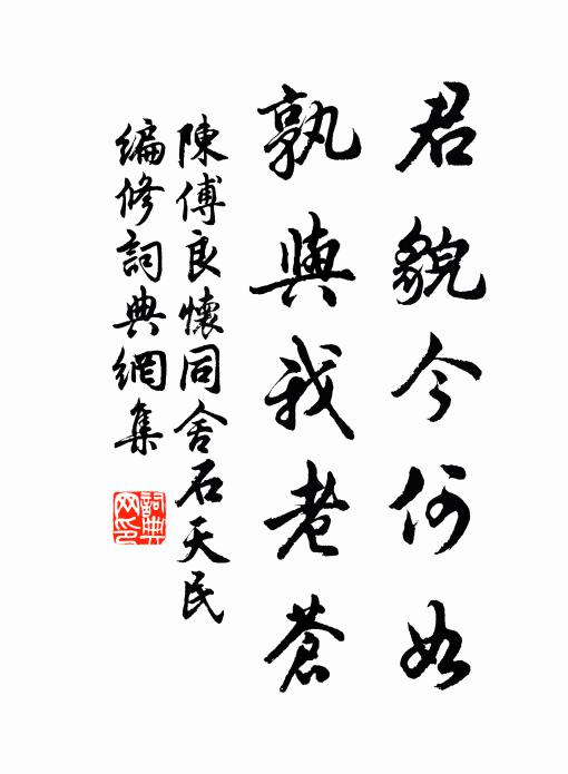 陈傅良君貌今何如，孰与我老苍书法作品欣赏