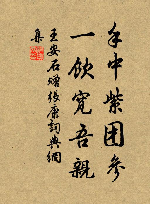 王安石手中紫团参，一饮宽吾亲书法作品欣赏