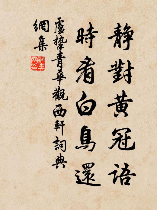 卢挚静对黄冠语，时看白鸟还书法作品欣赏