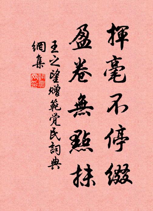 王之望挥毫不停缀,盈卷无点抹书法作品欣赏
