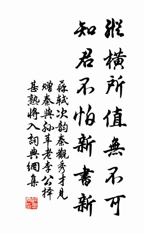 苏轼纵横所值无不可，知君不怕新书新书法作品欣赏