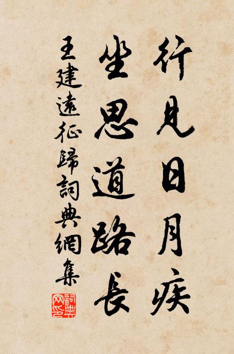 王建行见日月疾，坐思道路长书法作品欣赏