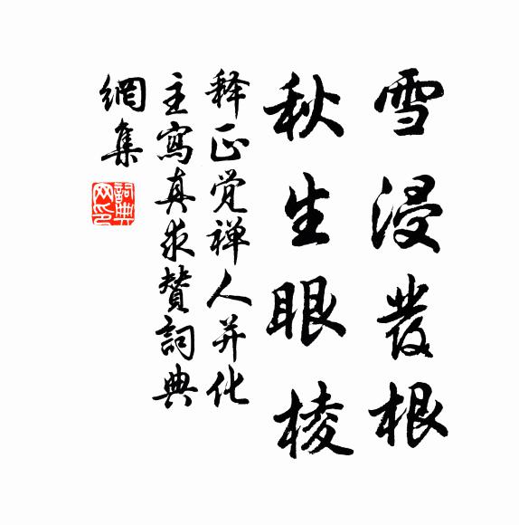 释正觉雪浸发根，秋生眼棱书法作品欣赏