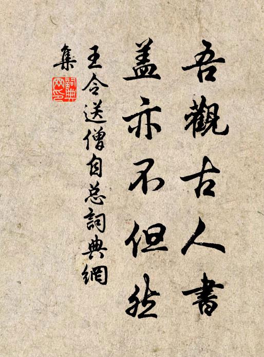 王令吾观古人书,盖亦不但然书法作品欣赏