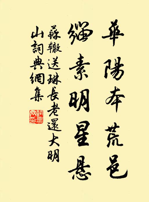 苏辙华阳本荒邑，缁素明星悬书法作品欣赏