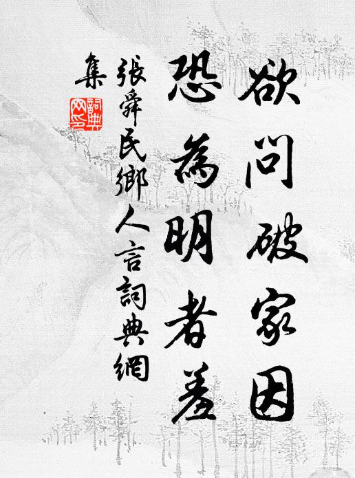 张舜民欲问破家因，恐为明者羞书法作品欣赏