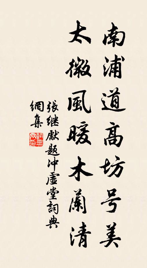 张继先南浦道高坊号美，太微风暖木兰清书法作品欣赏