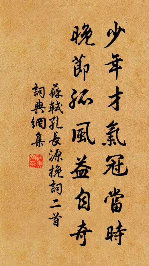 苏轼少年才气冠当时，晚节孤风益自奇书法作品欣赏