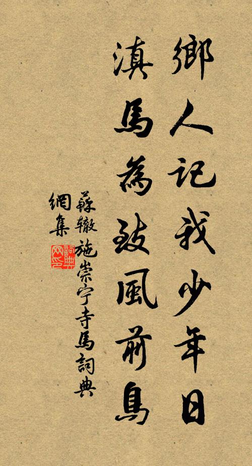苏辙乡人记我少年日，滇马为致风前鸟书法作品欣赏