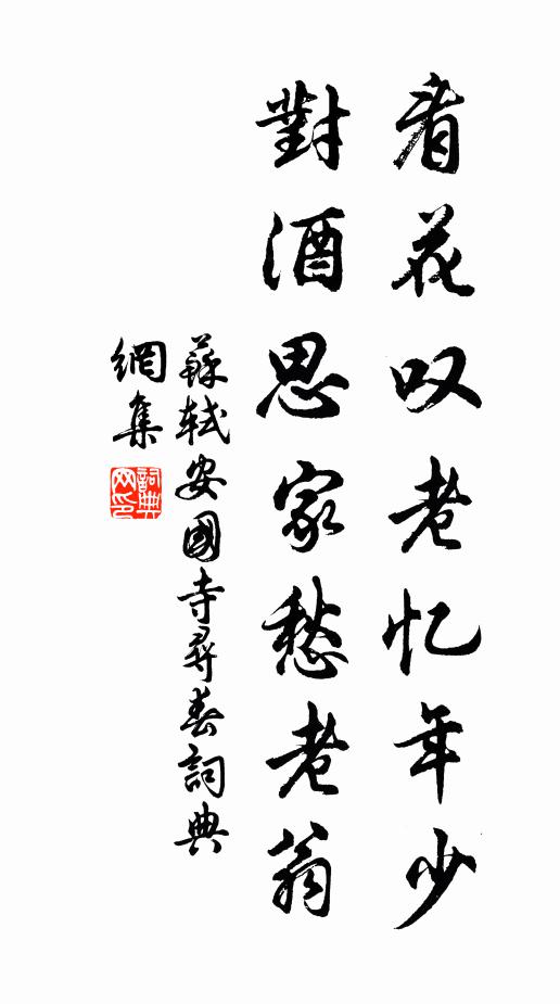 苏轼看花叹老忆年少，对酒思家愁老翁书法作品欣赏