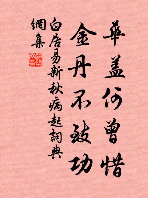 白居易华盖何曾惜，金丹不致功书法作品欣赏