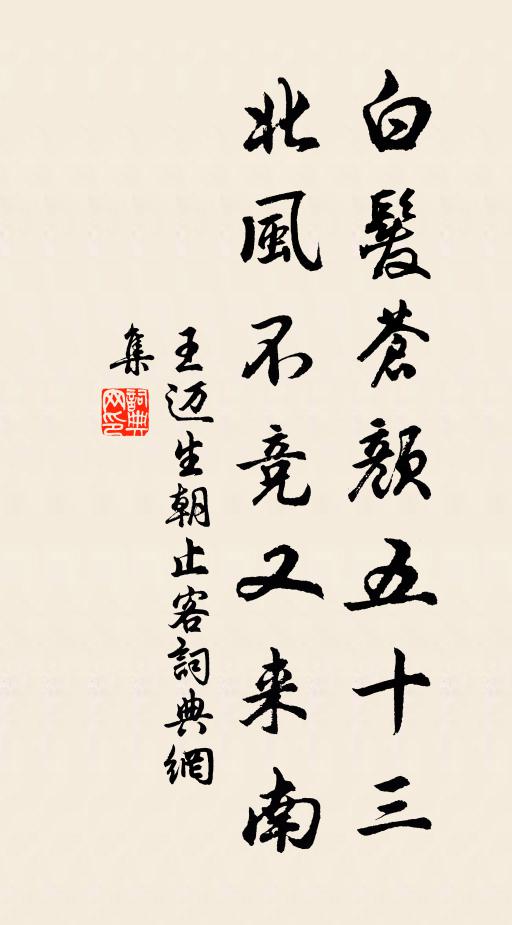 王迈白发苍颜五十三，北风不竞又来南书法作品欣赏