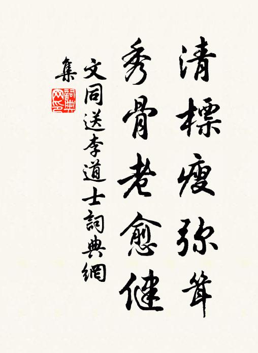 文同清标瘦弥耸,秀骨老愈健书法作品欣赏