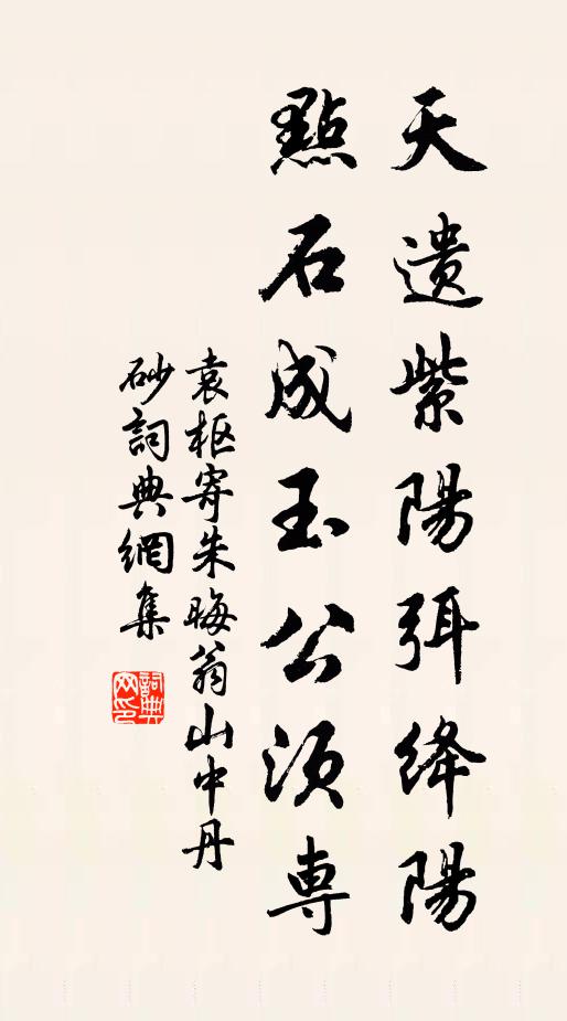 袁枢天遗紫阳弭绛阳，点石成玉公须专书法作品欣赏