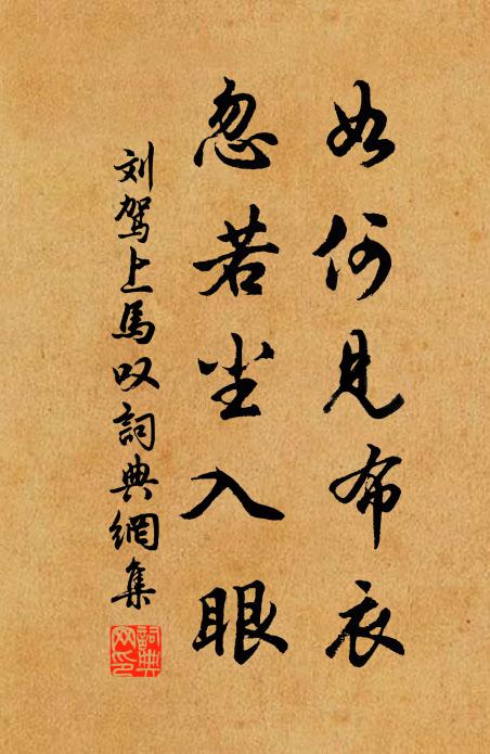 刘驾如何见布衣，忽若尘入眼书法作品欣赏