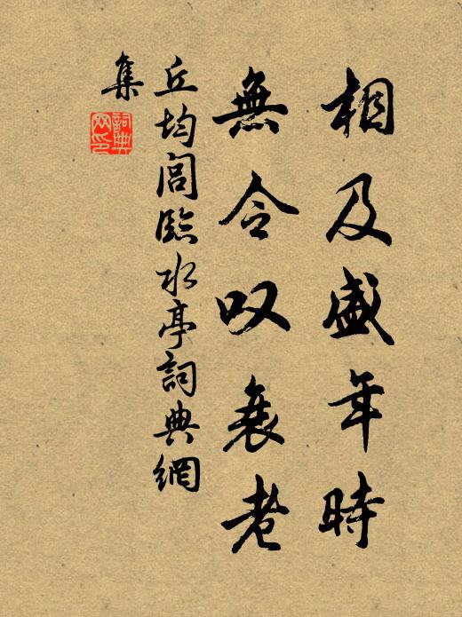 丘均闾相及盛年时，无令叹衰老书法作品欣赏