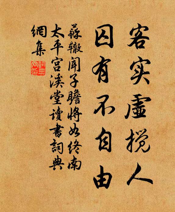 苏辙客实虚搅人，囚有不自由书法作品欣赏