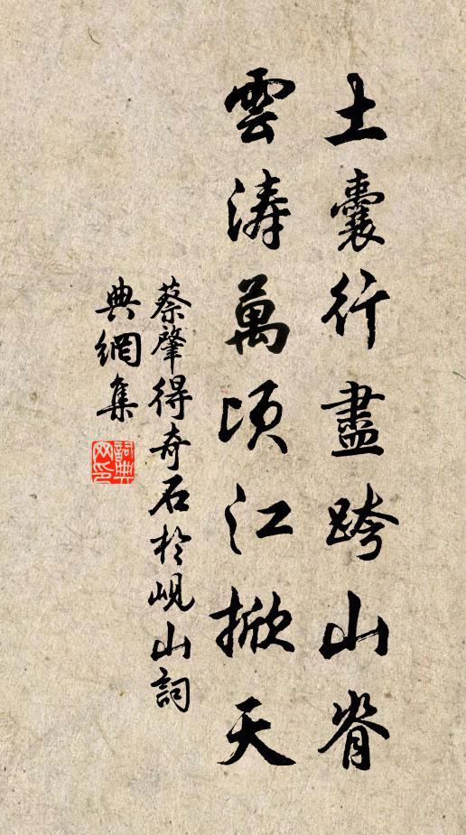 蔡肇土囊行尽跨山脊，云涛万顷江掀天书法作品欣赏
