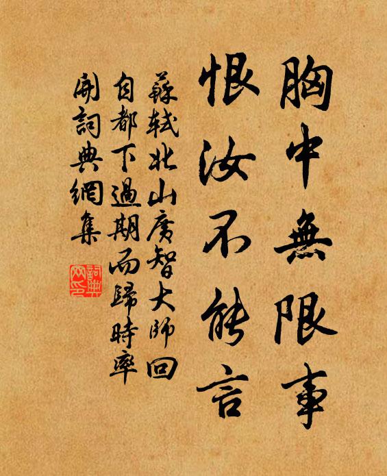 苏轼胸中无限事，恨汝不能言书法作品欣赏