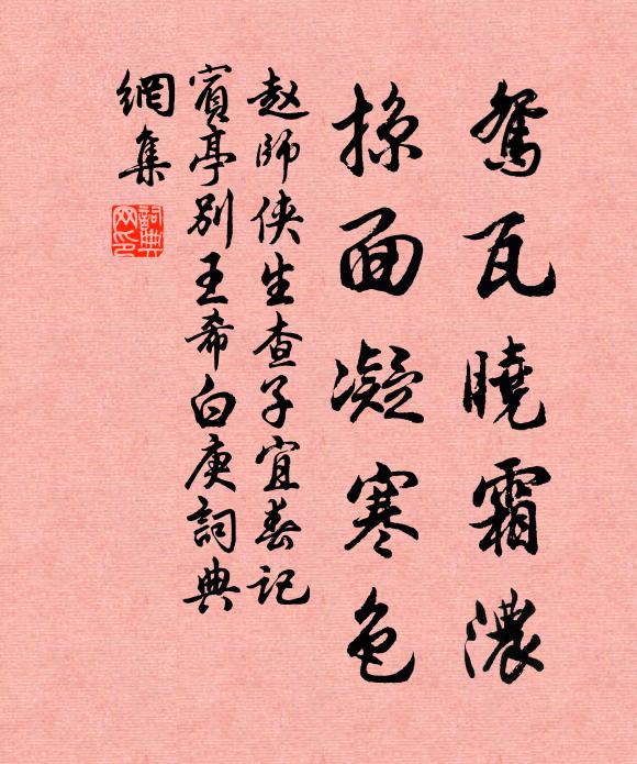 赵师侠鸳瓦晓霜浓，掠面凝寒色书法作品欣赏