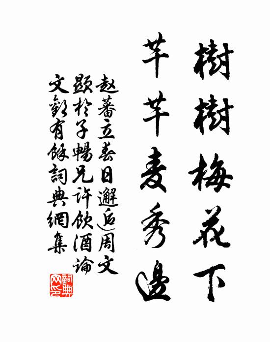 赵蕃树树梅花下，芊芊麦秀边书法作品欣赏