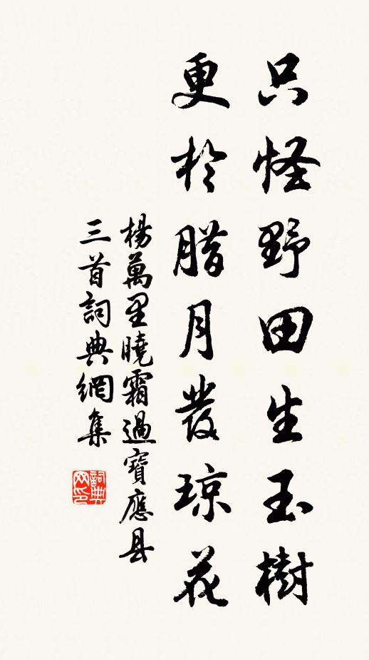 杨万里只怪野田生玉树，更於腊月发琼花书法作品欣赏