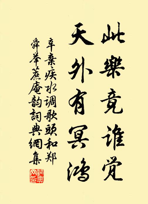 辛弃疾此乐竟谁觉，天外有冥鸿书法作品欣赏
