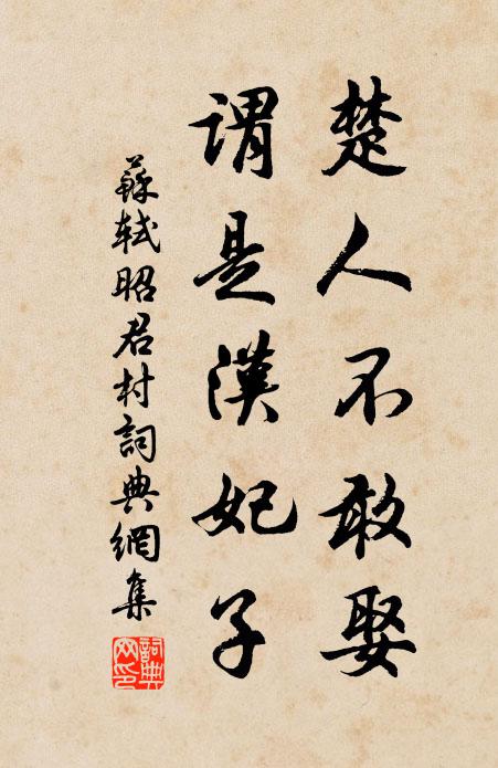 苏轼楚人不敢娶，谓是汉妃子书法作品欣赏