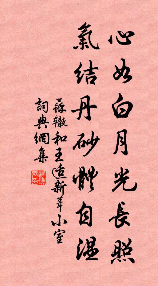 苏辙心如白月光长照，气结丹砂体自温书法作品欣赏