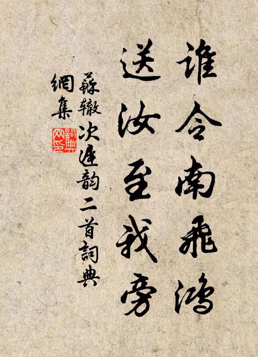 苏辙谁令南飞鸿，送汝至我旁书法作品欣赏