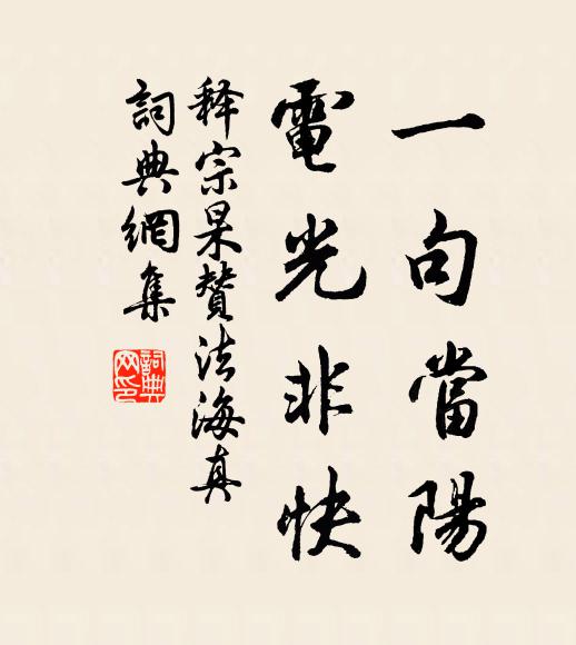 释宗杲一句当阳，电光非快书法作品欣赏