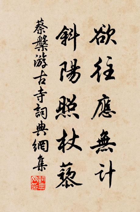 蔡槃欲往应无计，斜阳照杖藜书法作品欣赏