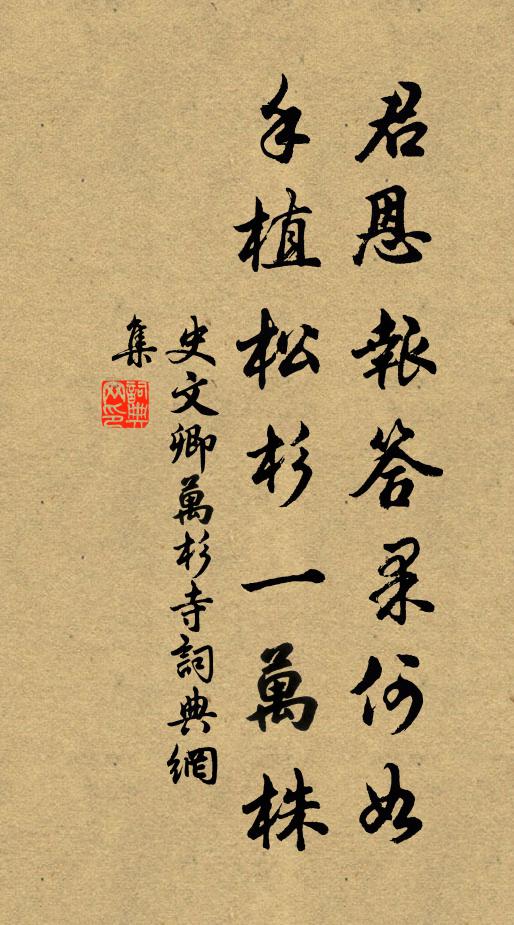 史文卿君恩报答果何如，手植松杉一万株书法作品欣赏