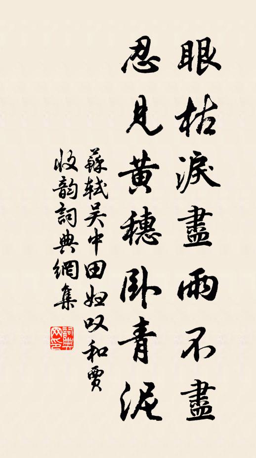 苏轼眼枯泪尽雨不尽，忍见黄穗卧青泥书法作品欣赏