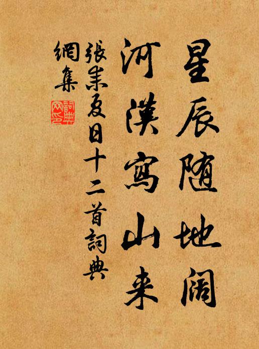 张耒星辰随地阔，河汉写山来书法作品欣赏