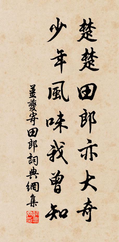 姜夔楚楚田郎亦大奇，少年风味我曾知书法作品欣赏