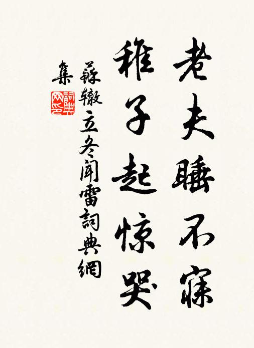 苏辙老夫睡不寐，稚子起惊哭书法作品欣赏